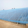 Greenhouse Film (3)