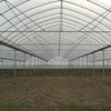 Greenhouse Film (9)