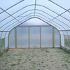 Greenhouse Film (4)