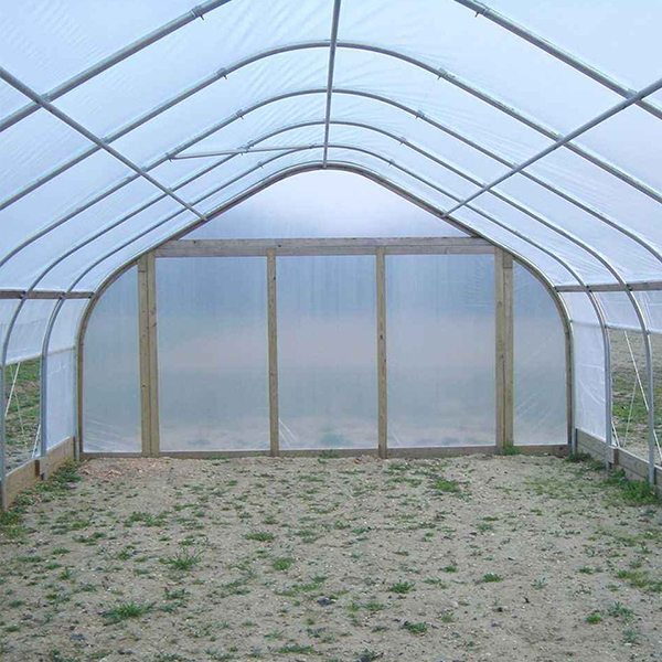 Greenhouse Film (4)