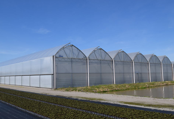 Our company keeps management of “centering on customers and surviving by quality”, improving production and improve products quality for customers.
