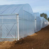 Greenhouse Film (1)