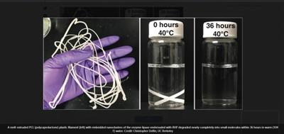 Truly "Biodegradable Plastics" Come Out